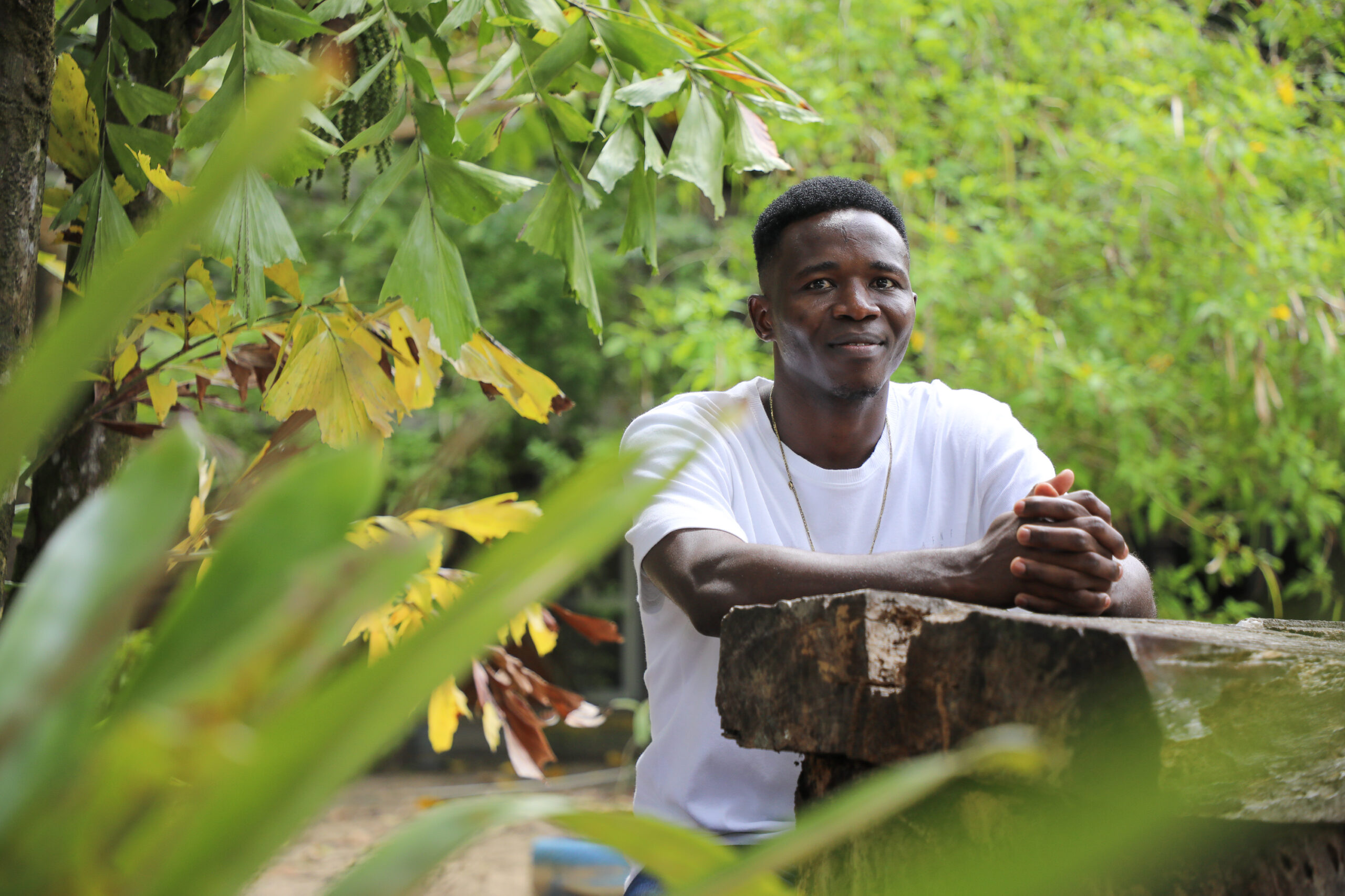 FRANCISCO MARINHO BAPTISTA – Território, afeto e resistência: ecos da luta em Torto Arado e narradores de Javé [artigo]