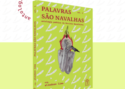 Fendas por onde a luz escapa: a multiplicidade e coesão de “Palavras são navalhas”
