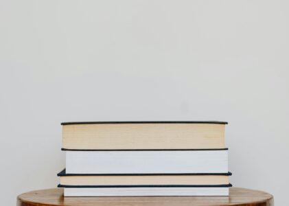 AS 10 MELHORES LEITURAS DE 2025