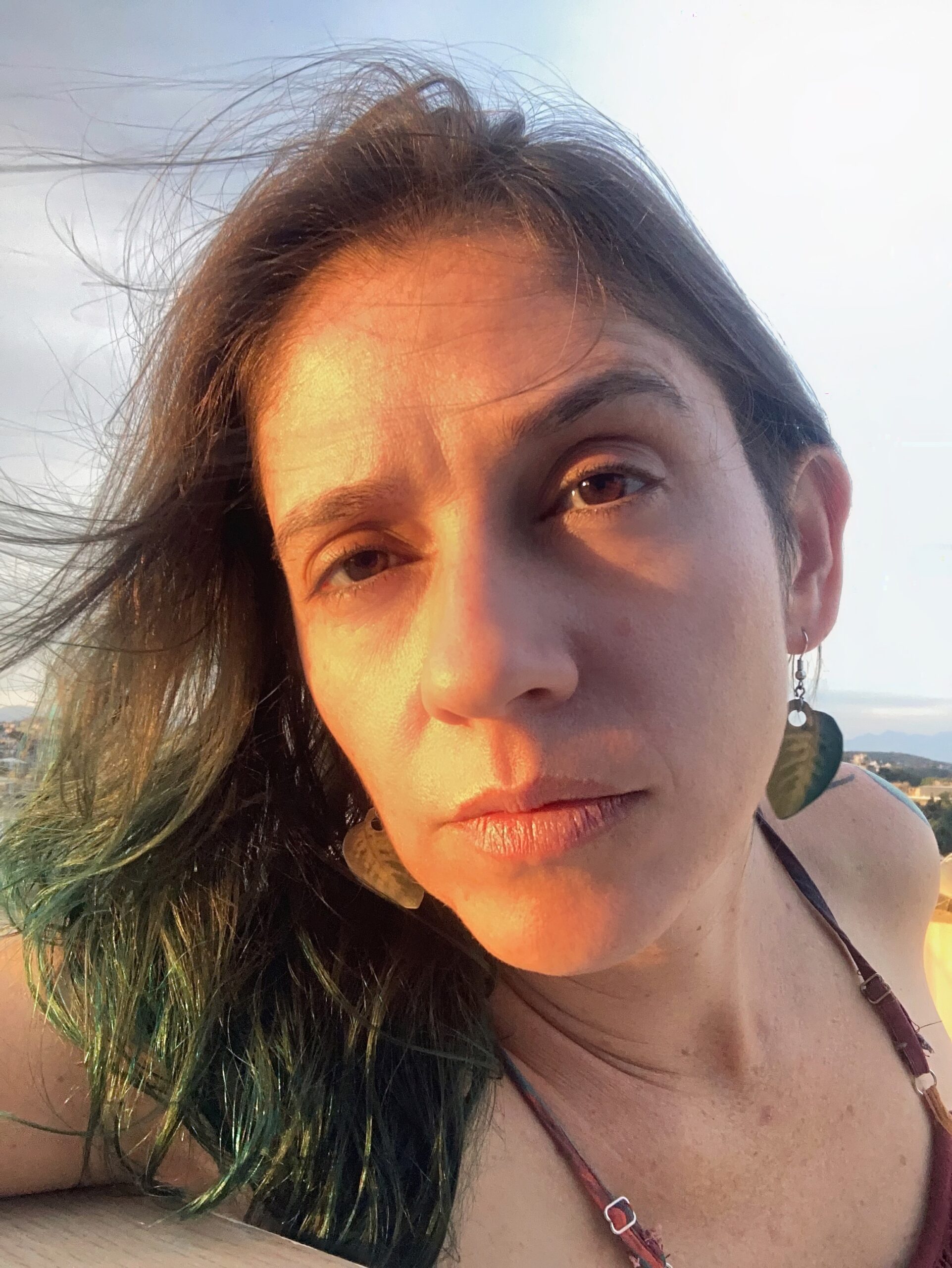 ALICE SOUTO – O desbravador no divã [resenha]